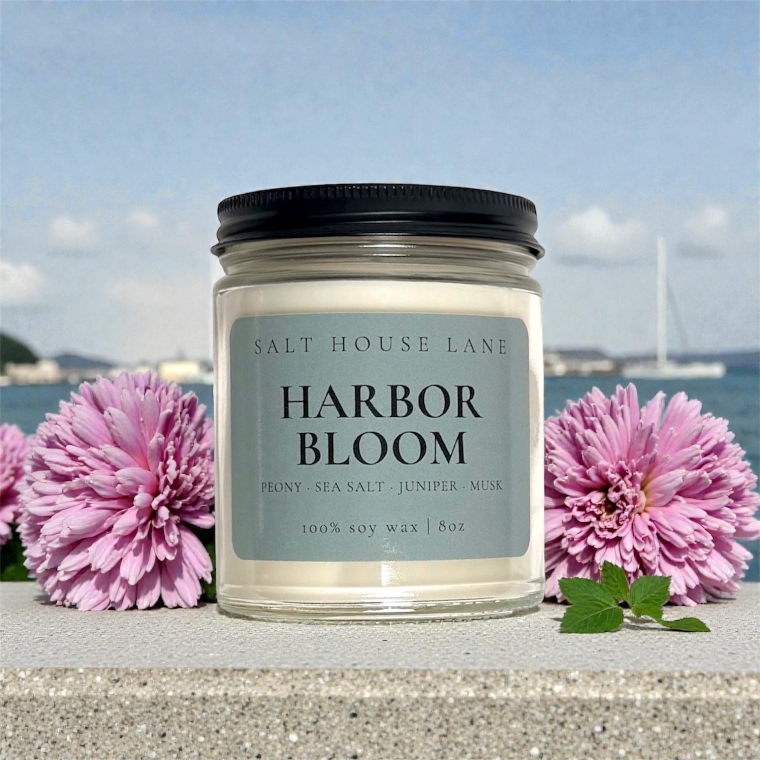 Harbor Bloom